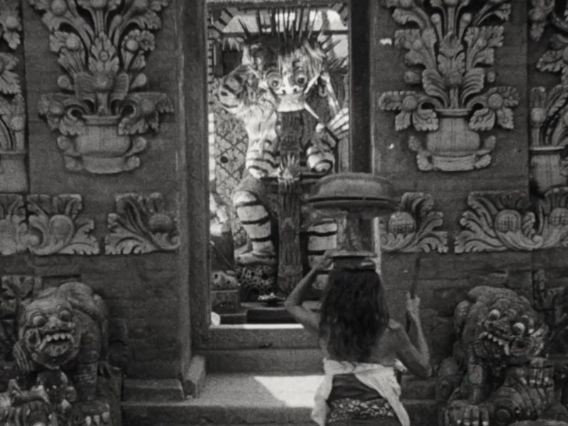 Image 4-11-25 at 7.50 PM